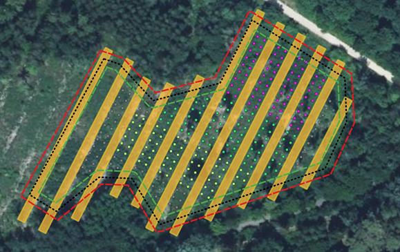 Schéma_parcelle_placeaux.png Schéma_parcelle_placeaux.png