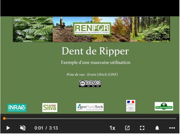 Vidéo Dent de Ripper.JPG