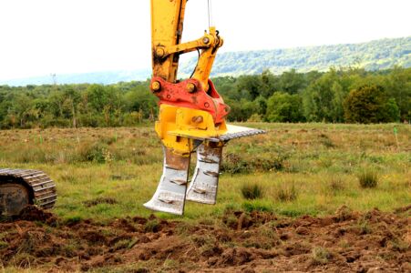 Photo Bident Maillard