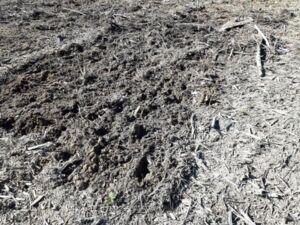 20251002_132853.jpg 20251002_132853.jpg