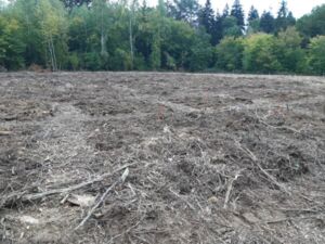 20251003_104618.jpg 20251003_104618.jpg