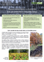 Couverture de la fiche pédagogique fougère