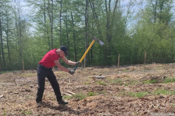 Réalisation du trou de plantation (2).jpg Réalisation du trou de plantation (2).jpg