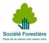 Logo Société Forestière